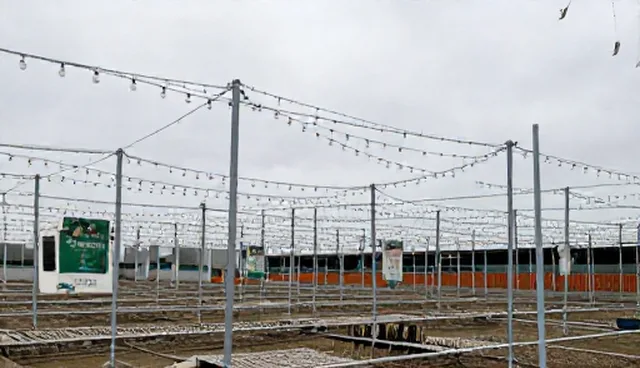 农产品基地合作如何提升实施效果?